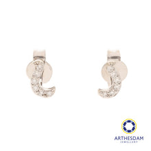Load image into Gallery viewer, Arthesdam Jewellery 18K White Gold with Diamond Fish Hook Earrings