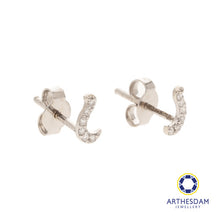 Load image into Gallery viewer, Arthesdam Jewellery 18K White Gold with Diamond Fish Hook Earrings
