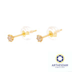 Arthesdam Jewellery 18K Yellow Gold 0.10CT Diamond Earrings
