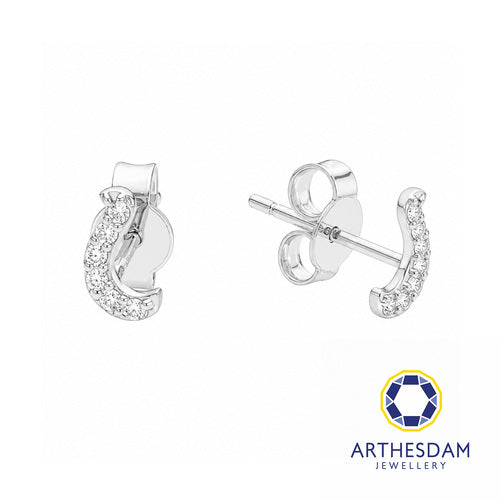 Arthesdam Jewellery 18K White Gold with Diamond Fish Hook Earrings