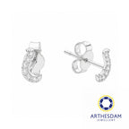 Arthesdam Jewellery 18K White Gold with Diamond Fish Hook Earrings