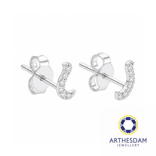 Arthesdam Jewellery 18K White Gold with Diamond Fish Hook Earrings