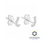 Arthesdam Jewellery 18K White Gold with Diamond Fish Hook Earrings