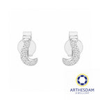 Arthesdam Jewellery 18K White Gold with Diamond Fish Hook Earrings