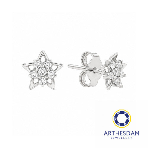 Arthesdam Jewellery 18K White Gold with Diamond Spiky Star Earrings