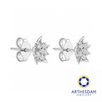 Arthesdam Jewellery 18K White Gold with Diamond Spiky Star Earrings