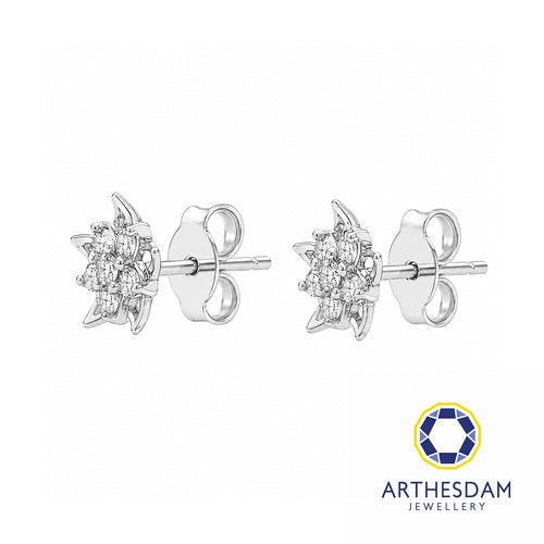 Arthesdam Jewellery 18K White Gold with Diamond Spiky Star Earrings