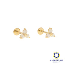 Load image into Gallery viewer, Arthesdam Jewellery 18K Gold Opal Trio Earrings (Flat-back)
