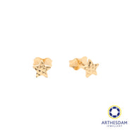 Arthesdam Jewellery 18K Yellow Gold Star Stud Earrings