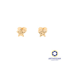 Load image into Gallery viewer, Arthesdam Jewellery 18K Yellow Gold Star Stud Earrings
