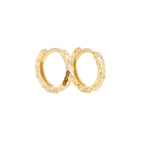 Arthesdam Jewellery 14K Yellow Gold Sparkles Petite Hoop Earrings