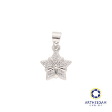 Load image into Gallery viewer, Arthesdam Jewellery 925 Silver Sparkling Star Pendant
