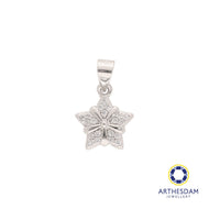 Arthesdam Jewellery 925 Silver Sparkling Star Pendant