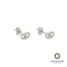 Load image into Gallery viewer, Arthesdam Jewellery 18K White Gold Tiny Button Earrings
