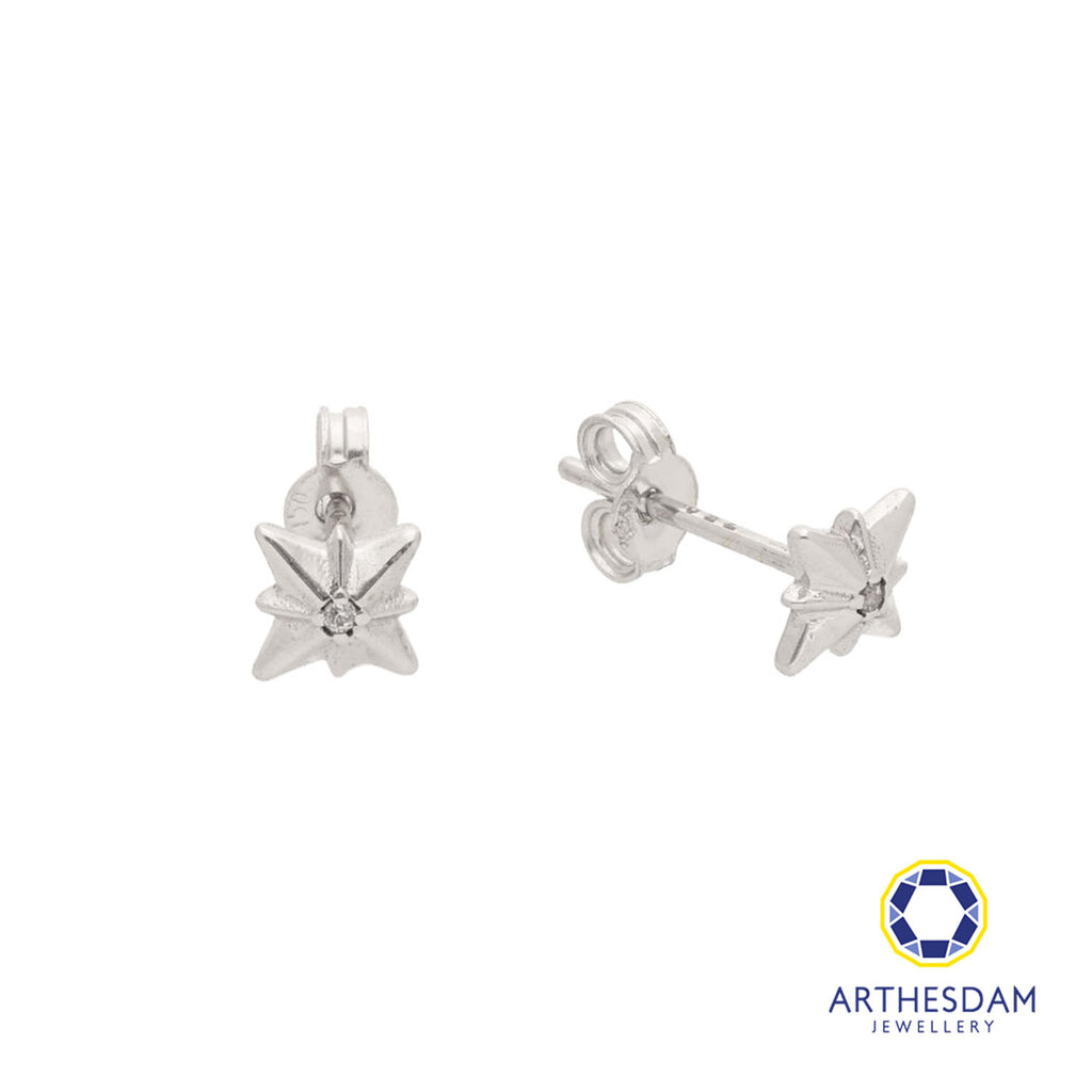 Arthesdam Jewellery 18K White Gold Sparkle With Stone Earrings