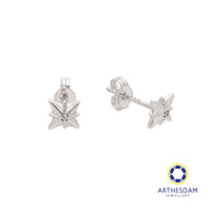 Arthesdam Jewellery 18K White Gold Sparkle With Stone Earrings