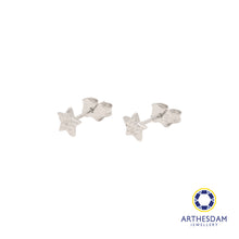 Load image into Gallery viewer, Arthesdam Jewellery 18K White Gold Star Stud Earrings
