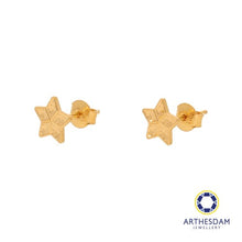 Load image into Gallery viewer, Arthesdam Jewellery 916 Gold Shiny Twinkle Star Earrings
