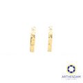 Arthesdam Jewellery 14K Yellow Gold Sparkles Petite Hoop Earrings