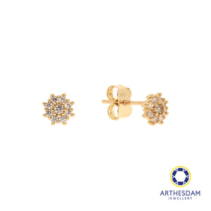 Arthesdam Jewellery 18K Yellow Gold 9 Stones Firework Earrings
